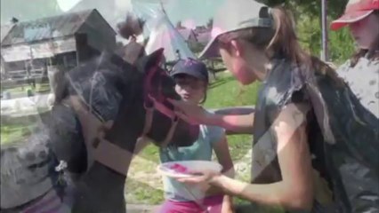 Arsène Vidéos Médias et Atelier Projet 44 (G.Dubost et J. Desagnat-Kronneger)