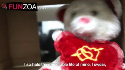 Life Bekar Hai: Cute Teddy's Funny Hindi Song 🎶