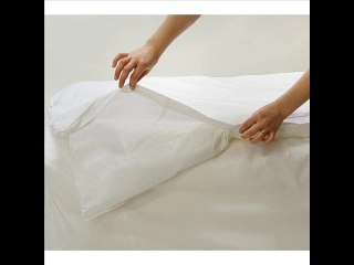Bed Bug Mattress Cover Reviews