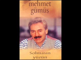Mehmet Gümüş - ERZURUMDAN ÇEVİRDİLER YOLUMU