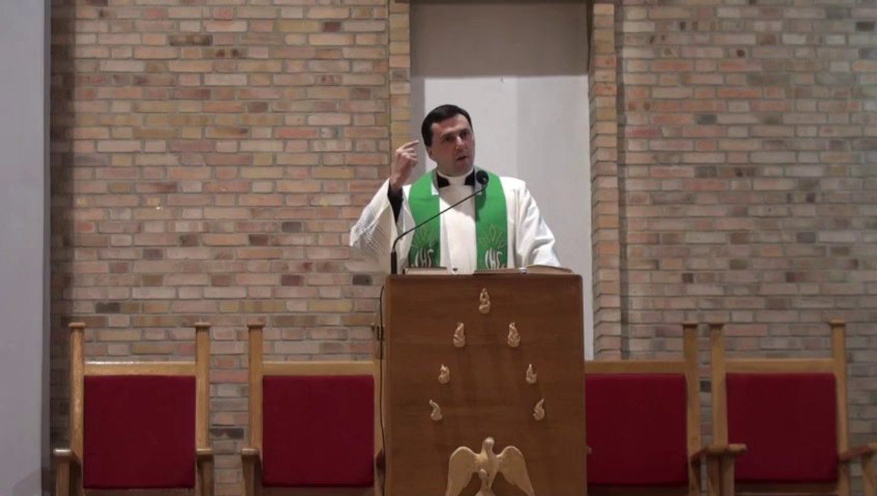 Ks. dr Bogusław Wolański - homilia Lubin 3.11. 2013.