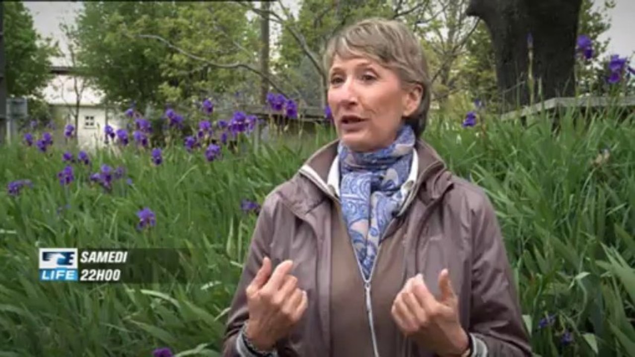 BA - Odile van Doorn, l'écuyère de la licorne - Equidia Life