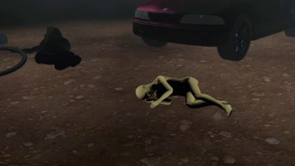 French Alps shooting