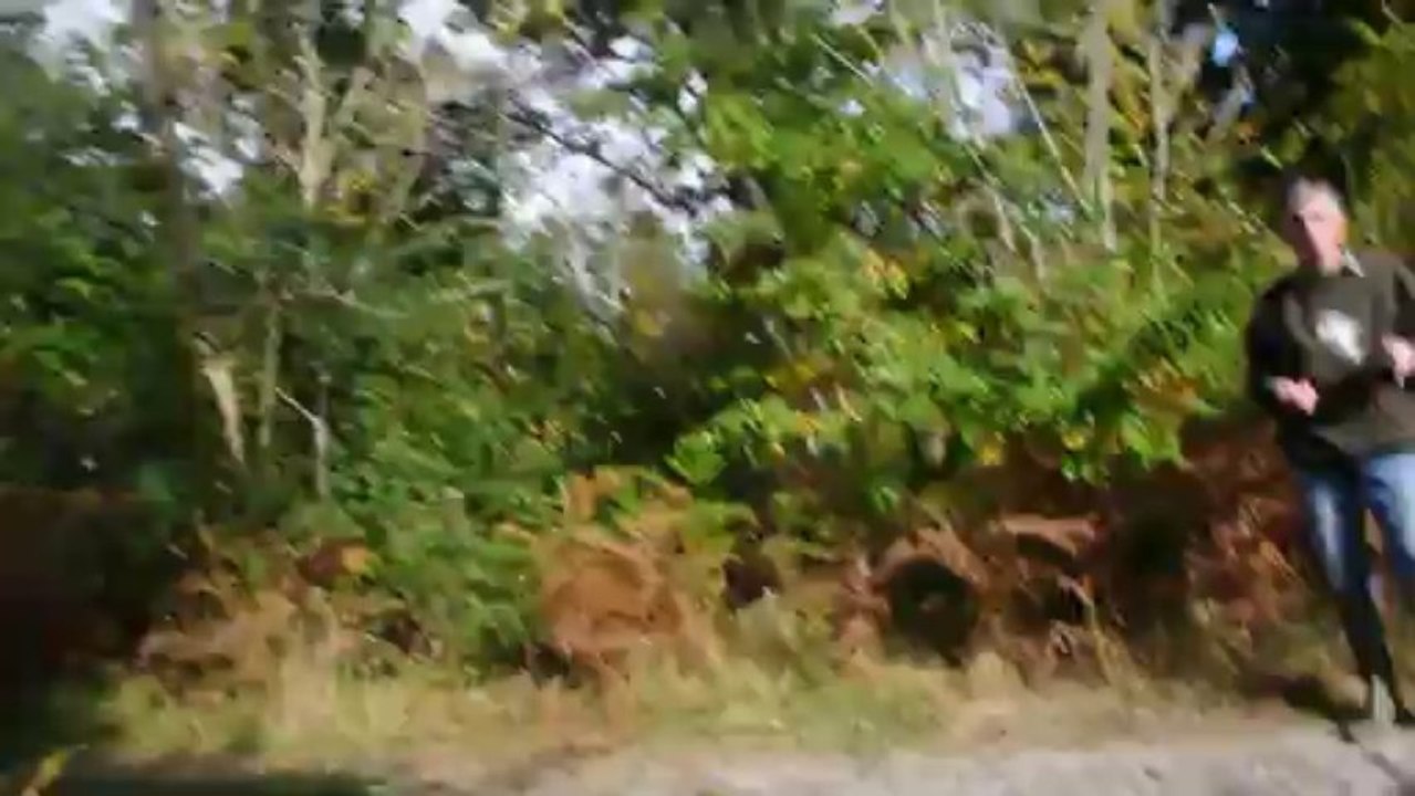 Rapport d'un faisan tombé à l'eau : Braque Allemand Valdor de Champréval