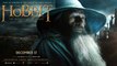 Le Hobbit : La Desolation de Smaug