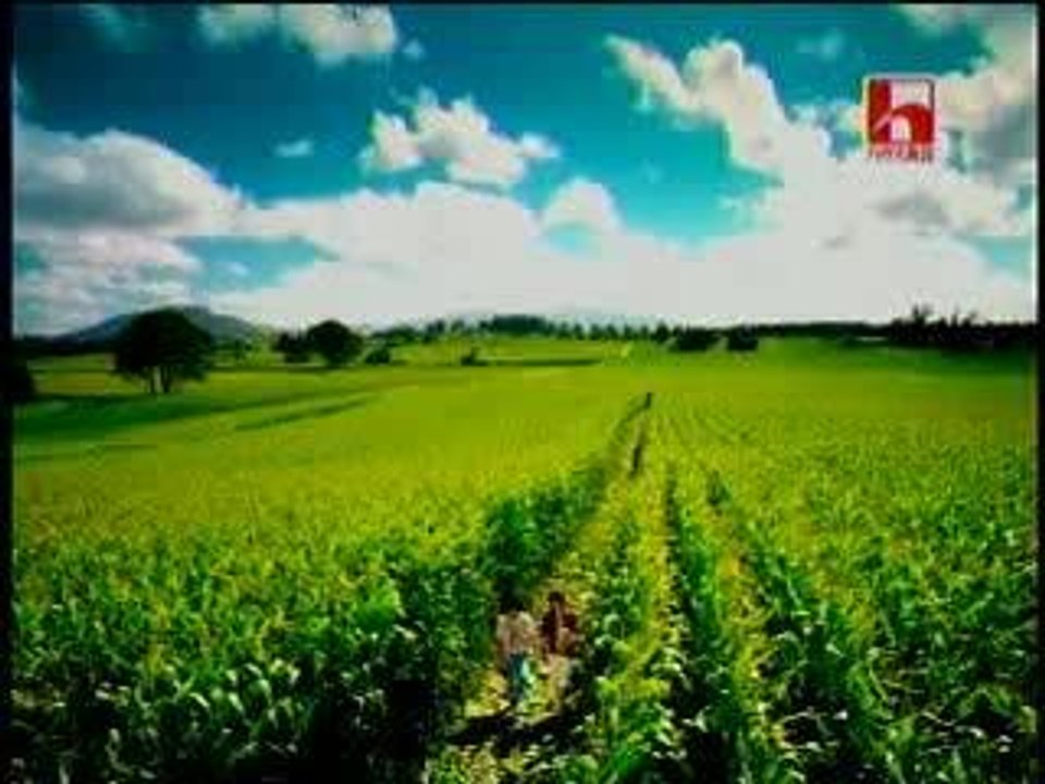 CM - Tsubasa and tegoshi - Tongari Corn