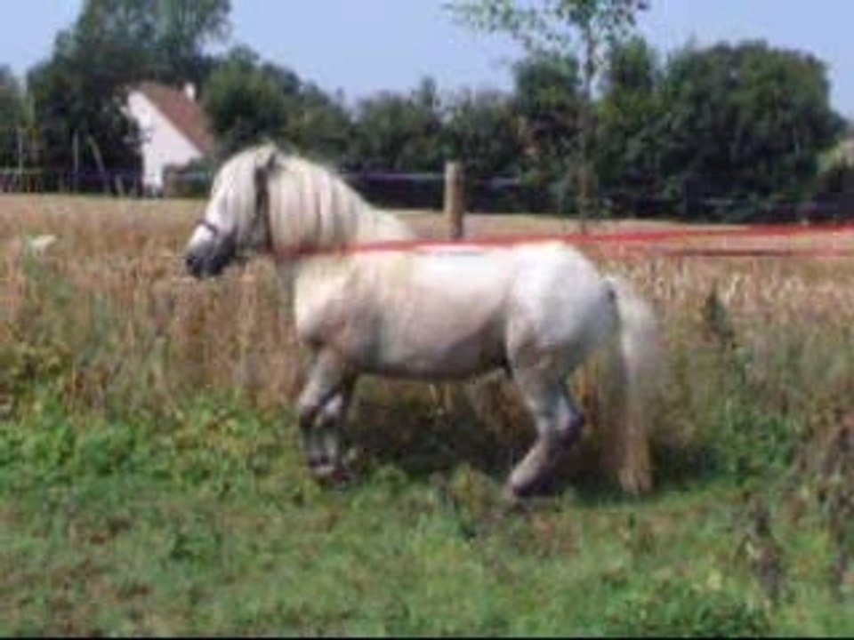 Onix_Video