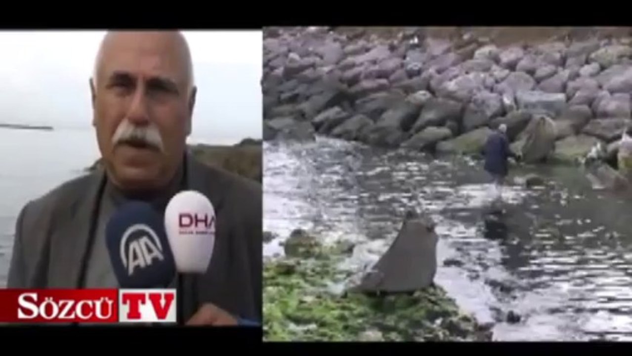 Denizdeki kayada define arıyor