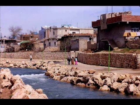 Ciwan Haco - Nisebina Rengin