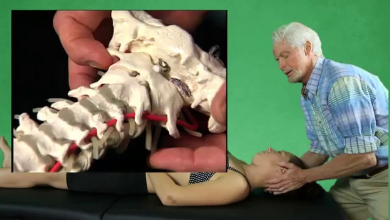 Suboccipitals, Head & Neck Pain - Erik Dalton