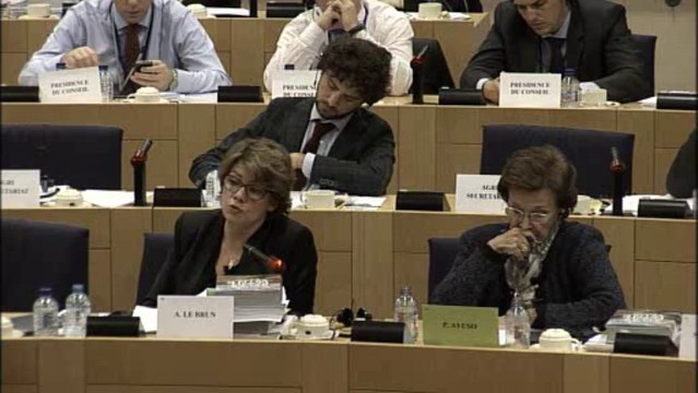 Agnès Le Brun- Présentation du rapport Le Brun en Commission agriculture du Parlement européen
