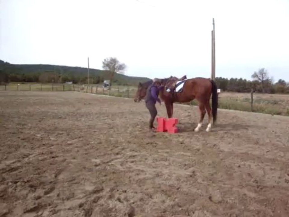 DEBOURRAGE - 5/11/13 - Le montoir