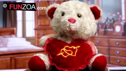 Teddy Knows You Are A Culprit Who Doesn't Share!