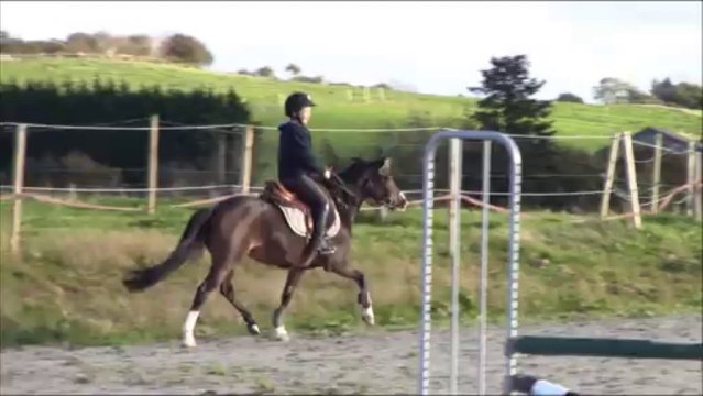 Séance saut Bretagne 2013
