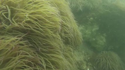 Canal Hossegor Septembre 2013