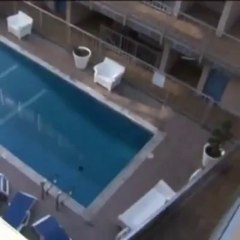 Man Jumping in water pool along with dolphin