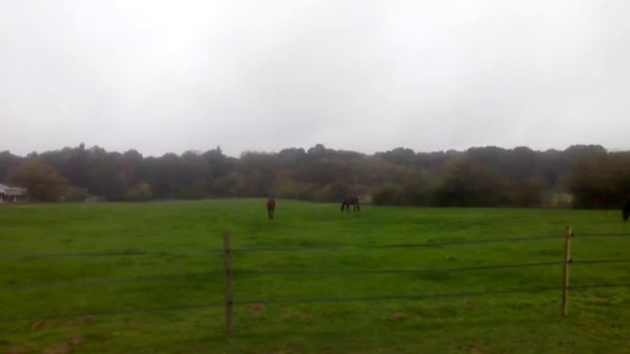 VID_20131101_133002