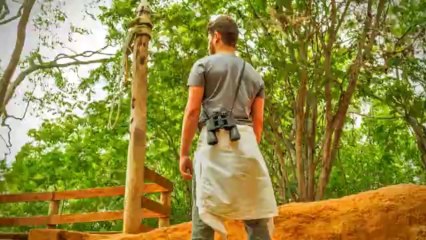 Abertura Além do Horizonte