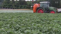 Syngenta - Pestizide stecken im Obst und Gemüse drin * www.igbiene.ch