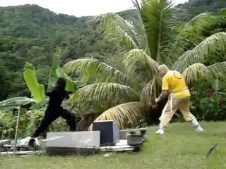 konfoula le ninja harry contre lama,nunchaku.