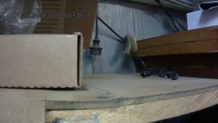 Mouse and cookies. Best video for motivation. Never give up. _ Мышка и печенье