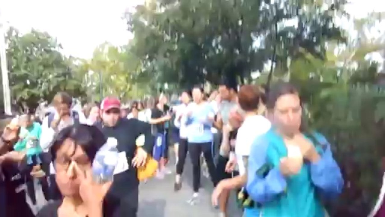 Cupcake Run Test
