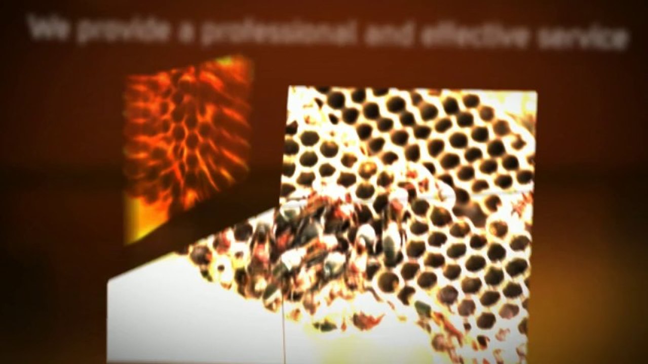 Total Pest Management - Pest Control Buckingham