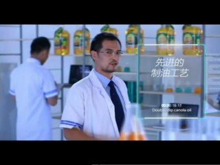 High Quality Canola Oil Manufacturer