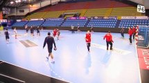 Handball : Montpellier reçoit Ivry demain pour le compte du championnat de D1