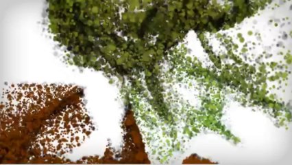 ANA NEWS ARAKAN TODAY النشرة الإخبارية _ أراكان اليوم ( الأربعاء ) 3 _ 1 _ 1435هـ