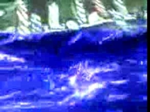 TIFOS 15ANS SUPRA AUTEUIL