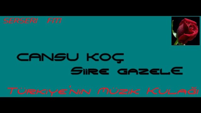 Cansu Koç Şiire Gazele