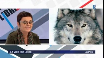 Corinne BERNARD était l'invitée de la Voix est Libre de France 3 Alpes