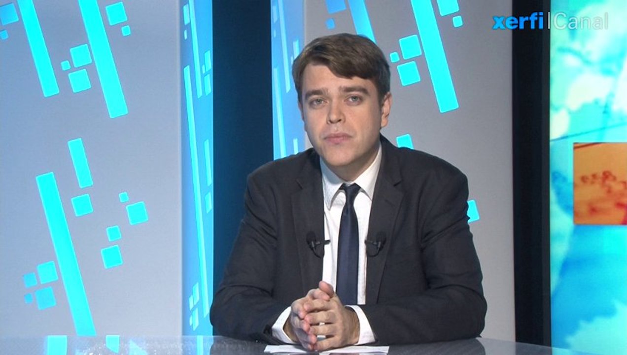 Aurélien Duthoit, Xerfi Canal Inde : la croissance précaire