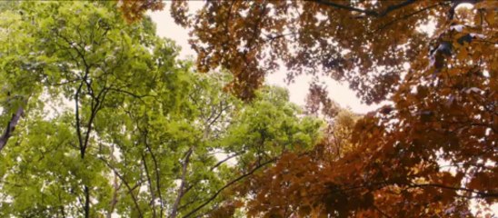 Blue is the Warmest Color / La Vie d'Adèle (2013) - Trailer ENG SUBS