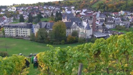 Download Video: Robert Weil: Spitzenweingut im Rheingau | Made in Germany - Familienunternehmen