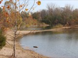 Beaver Lake Area - Prairie Oaks Metro Park - Plain City Ohio
