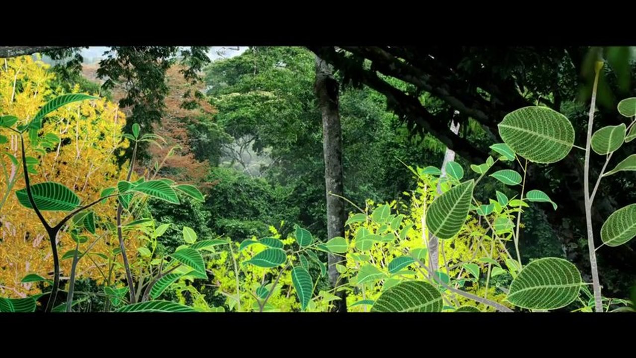 Il était une forêt - Bande-annonce #1 [VF|HD720p]