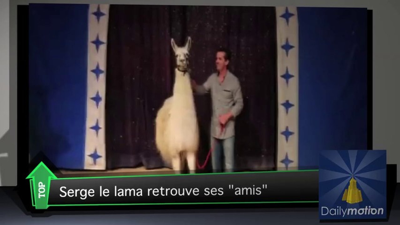 Serge le lama a retrouvé ses amis du tramway