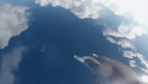 Dolphins In The Sky - Amazing video.