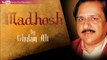Tujhe Kya Khabar Mere Humsafar - Ghulam Ali Ghazals 'Madhosh' Album