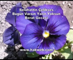 Selahattin Çelikses - Bugün Varsın Yarın Yoksun & Berat Gecesi - http___www.hakweb.com