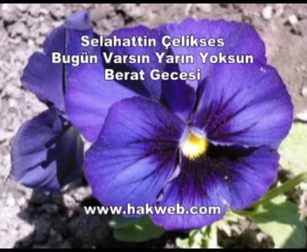 Selahattin Çelikses - Bugün Varsın Yarın Yoksun & Berat Gecesi - http___ hakweb.com
