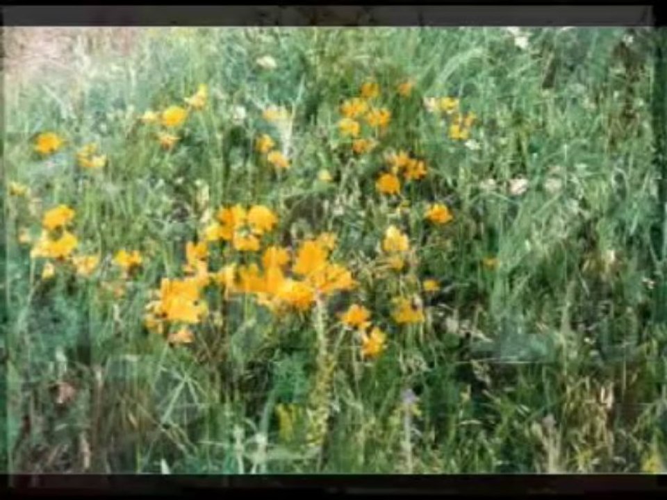 Hasret GÜLTEKİN-Bir İnsan Ömrünü Neye Vermeli