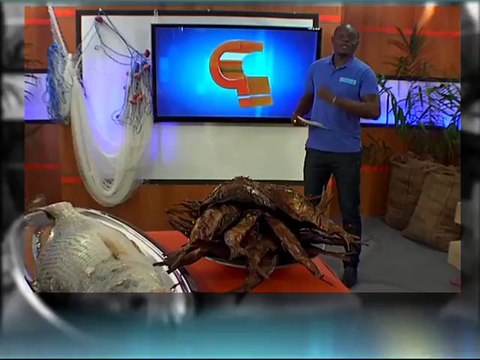 Bande d'annonce - Emission ça s'explique - Agriculture - Mercredi 06 novembre 2013