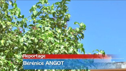 Disparités du logement en Martinique (2013)