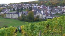 شركة عائلية ناجحة - شركة فايل لإنتاج النبيذ الفاخر | صنع في ألمانيا
