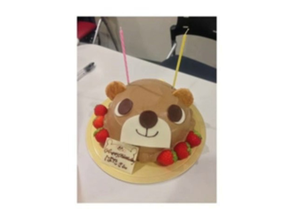 HATA RADIPEDIA 131014②