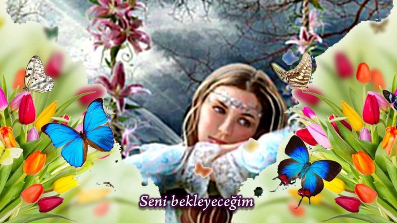 Ayşe Mine - Seni hep seveceğim