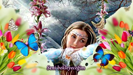 Ayşe Mine - Seni hep seveceğim